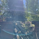 Hauling Away for Another Day