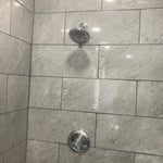 New Showerhead and Trim