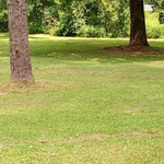LARGE YARD MOW