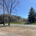 Both sweet gum removed and final clean up