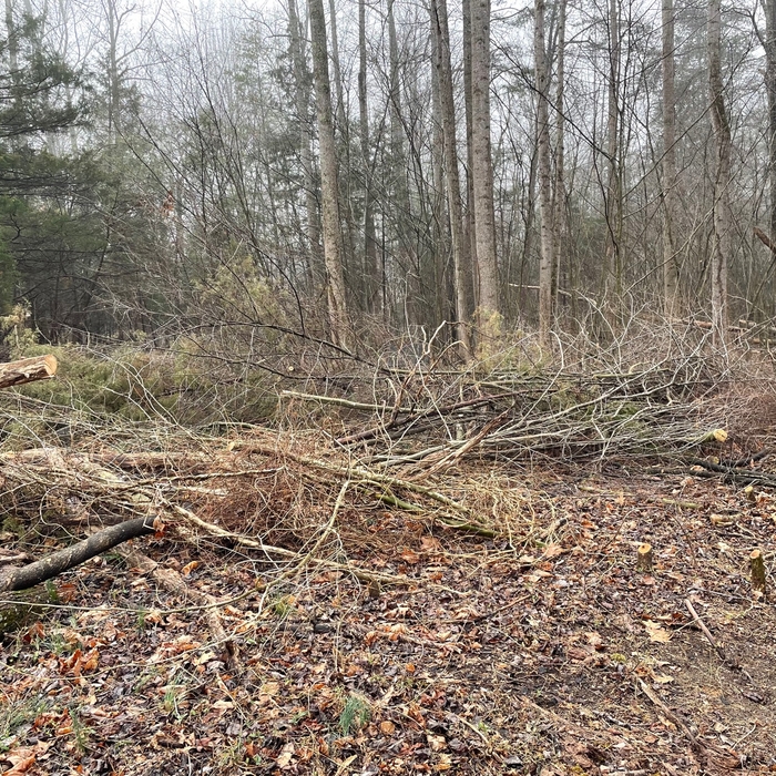 property before chipping