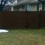 Fences