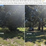 Low Hanging Limbs
