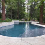 Freeform Shaped Pools