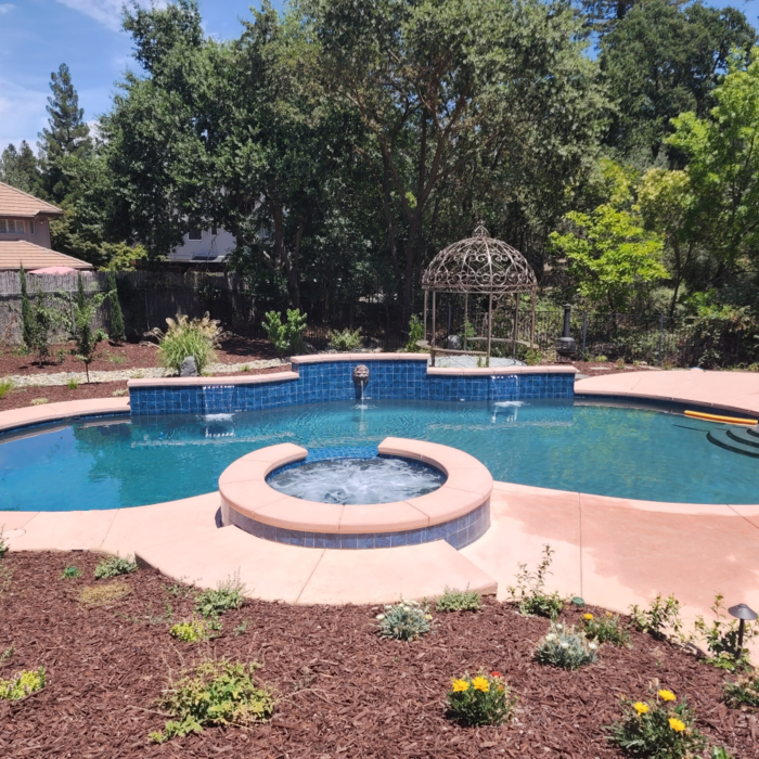 Freeform Shaped Pools