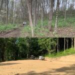 Before and after