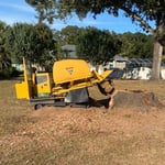 Stump King Tree Service