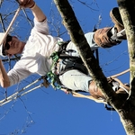 Stump King Tree Service