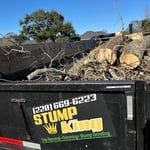 Tree and stump removal