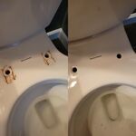 Before/After Toilet Seat