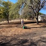 Seeding a new lawn