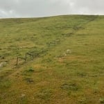 Mountain 4 strand Barbwire