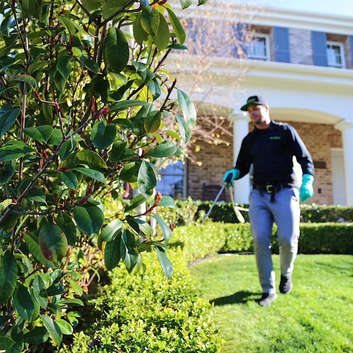 Residential Pest Control