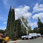 Bucket Lift trim