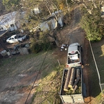 Tree Services