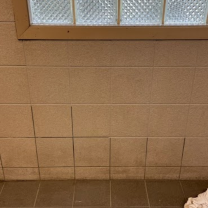 grout cleaning in commercial bathroom