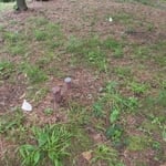 Site before abandonment