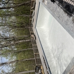 Pool Remodel