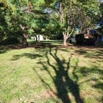 middle yard after