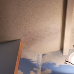 Ceiling Repair