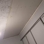 Ceiling Repair