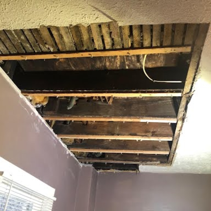 Ceiling Repair