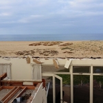 Newport Beach Demo.