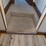 Steps