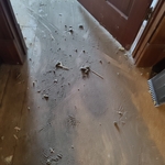 Vaccum couldnt get through the old carpet.