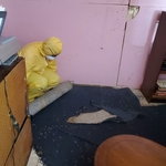 Carpet Removal from Water Damage