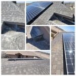 Bird proofing