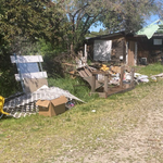 My project
