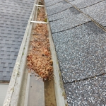 Gutter Cleaning