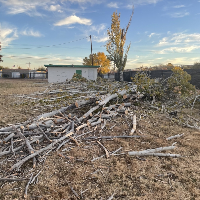South West Tree Service