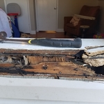 Termite Infested / Damaged Wood Framin