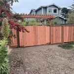 Custom fence & gate
