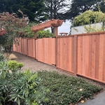Custom fence & gate