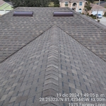 Shingle Roof