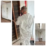Mold Safety