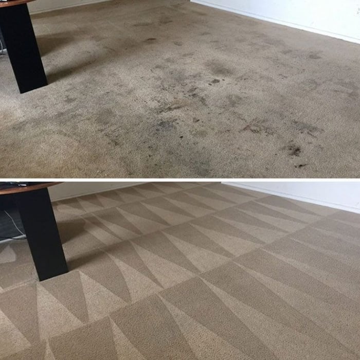 Full Service Cleaning + Stain Treatment