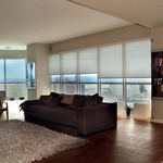 Upscale Living Room Privacy