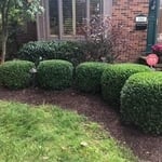 Trim