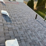 Asphalt Shingle