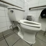 POWER ASSIS TOILET REPLACEMENT