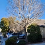 Locking nice and clean