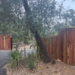 Fence