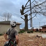 Arkansas Project