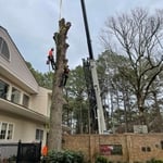 Doing a little on the job training