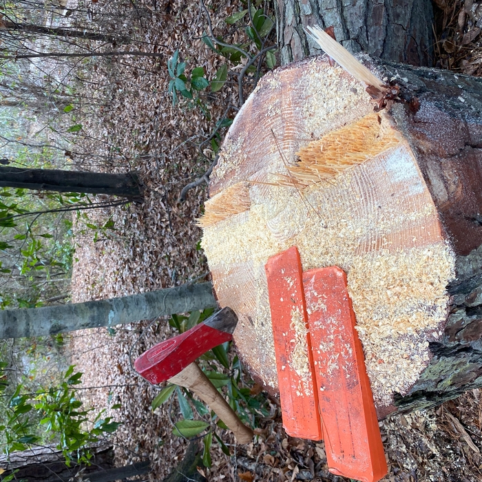 Arkansas Project