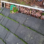 Gutter Cleaning